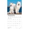 BrownTrout; Samoyeds | 2027 12 x 24 Inch (Hanging) Monthly Square Wall Calendar | Plastic-Free; Category:Wall Calendars; Image:5